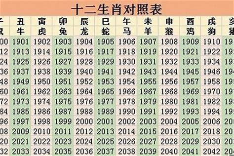 2023年属|2023年是什么生肖年